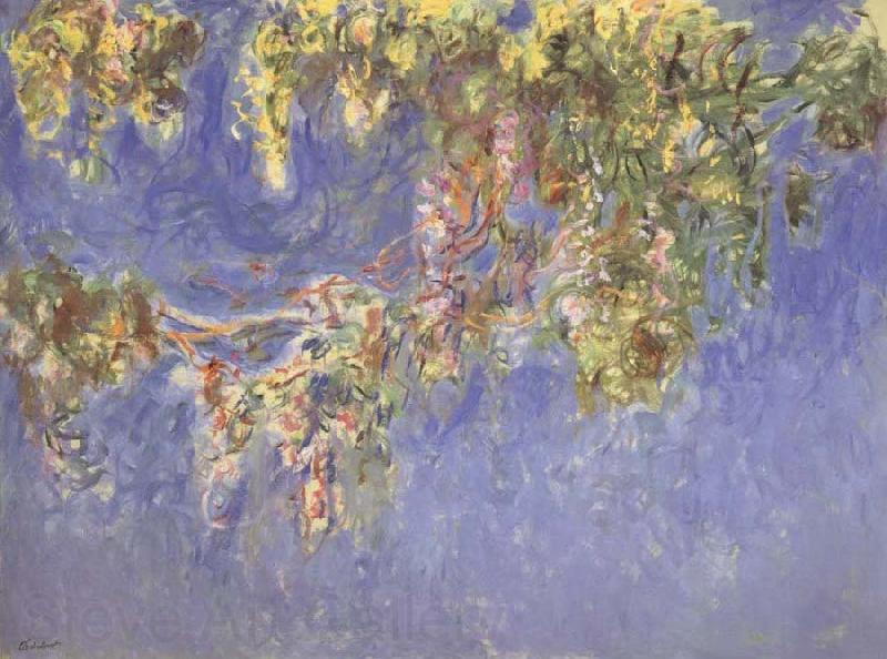 Claude Monet Wisteria Spain oil painting art